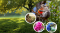 slideshow-202410110-vtoujours-flyers.png